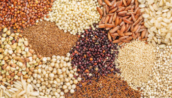 Millet Based Meals millet food near me, online order food, healthy meals near me